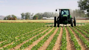 In Uzbekistan, the state is increasing support for the agricultural sector