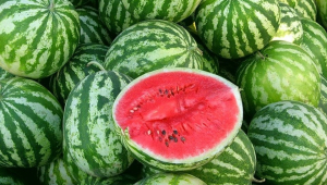 Uzbekistan exports record amount of watermelon