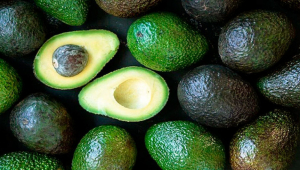 Avocado imports to Georgia growing at a record level