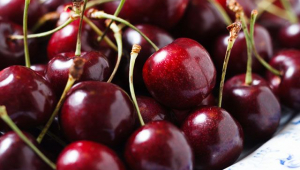 Uzbekistan's cherry export generates $38.9 mn in revenue