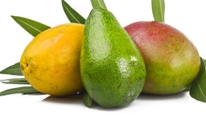 Kazakistan'da mango ve avokado yetiştirilecek