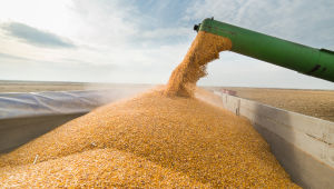 ارتفاع صادرات القمح من كازاخستان إلى تركيا بنسبة 75%
