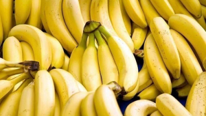 2023 жылы Өзбекстанға 133,5 мың тонна банан импортталды