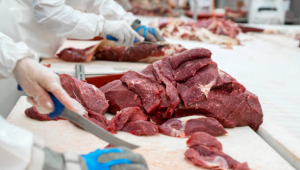 Yurt LLC Gürcistan'da et üretimine yatırım yapılmasını destekleyecek