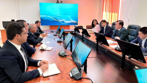 Turkish company to launch fertilizer production in Kazakhstan