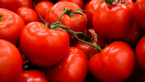 Spike in tomato prices in the Georgian market