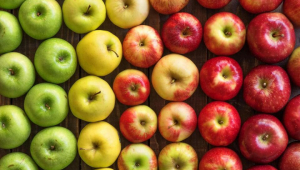 Gürcistan'dan elma ihracatı azaldı