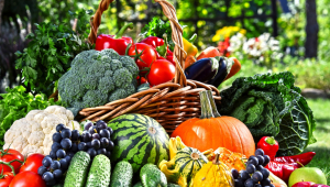 Özbekistan üç ayda 375,3 bin ton meyve ve sebze ihraç etti