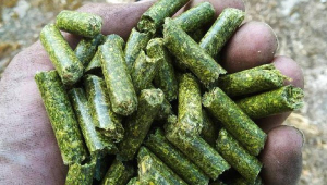 Pellets