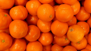 Tangerines